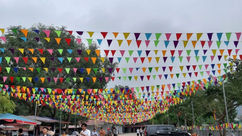 Cờ đuôi nheo là gì? Đặc điểm, phân loại và ý nghĩa