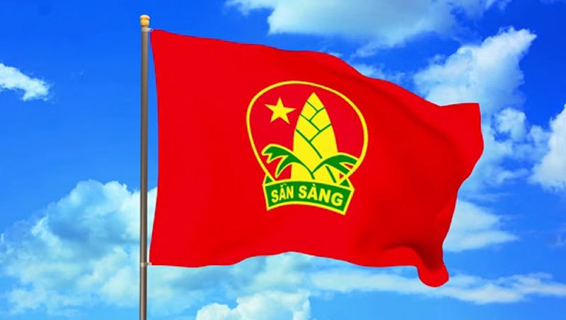 Kích thước cờ đội